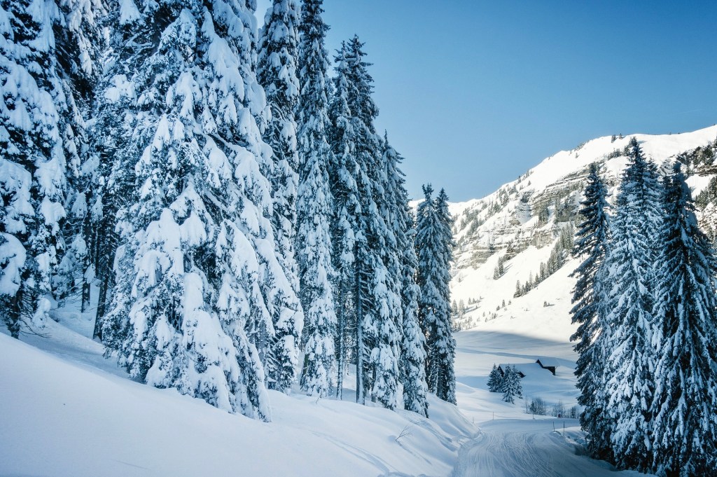 Ski holiday scenery