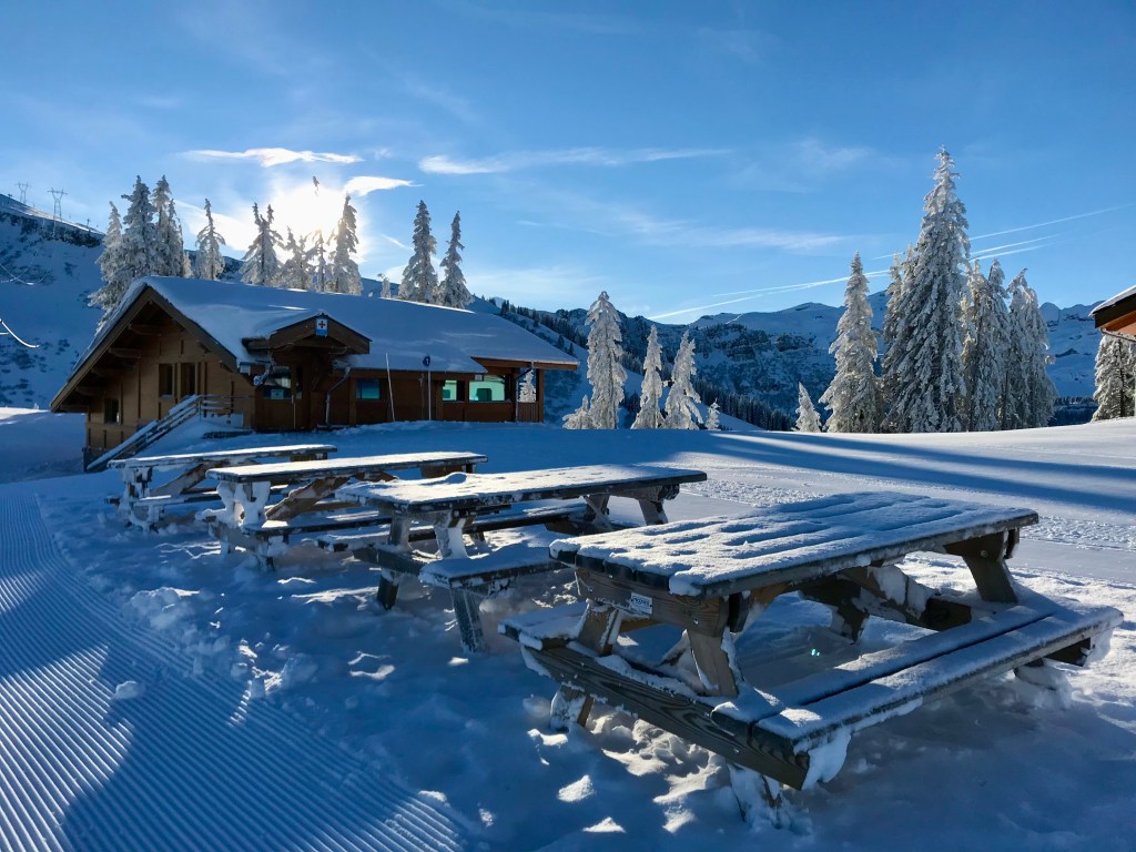 Ski resort picnic areas